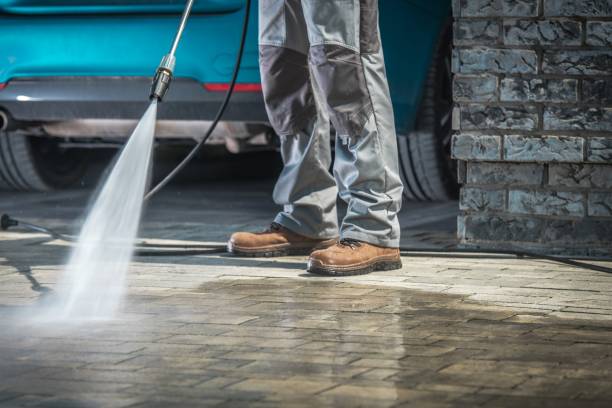 Best Roof Washing  in Bradley Beach, NJ