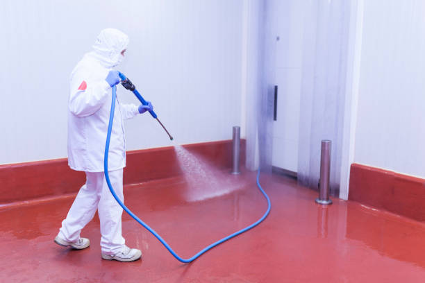 Best Graffiti Removal  in Bradley Beach, NJ